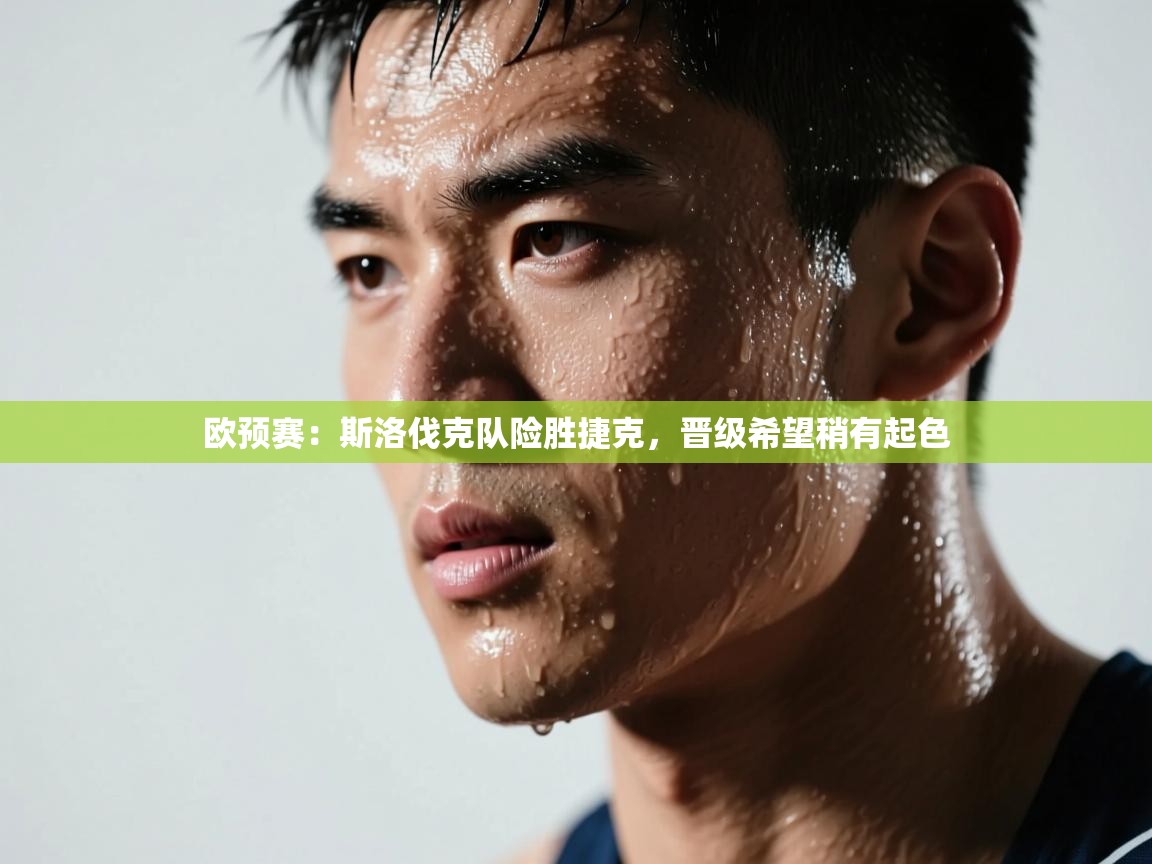 欧预赛:斯洛伐克队险胜捷克,晋级希望稍有起色 第1张